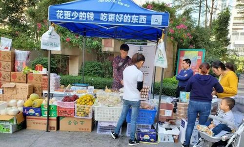 社區團購轉向理性競爭，日用百貨銷售迎高質量發展新機遇